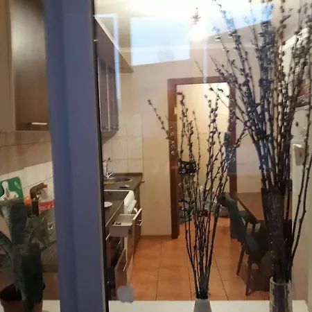 Tairova * Odesa